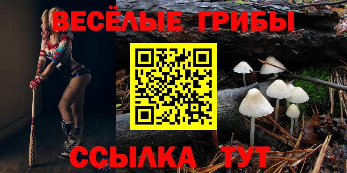 Галлюциногенные грибы MAGIC MUSHROOMS Ижевск