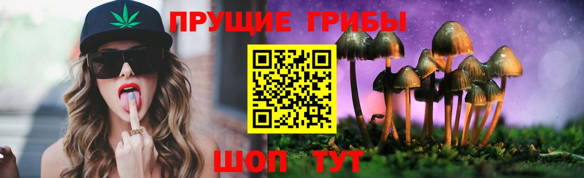 Псилоцибиновые грибы Cubensis  Вход с VPN  Галлюциногенные грибы мухоморы  Ижевск 